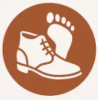 Amcop